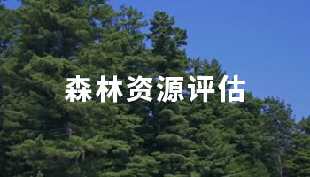 ɭYԴu